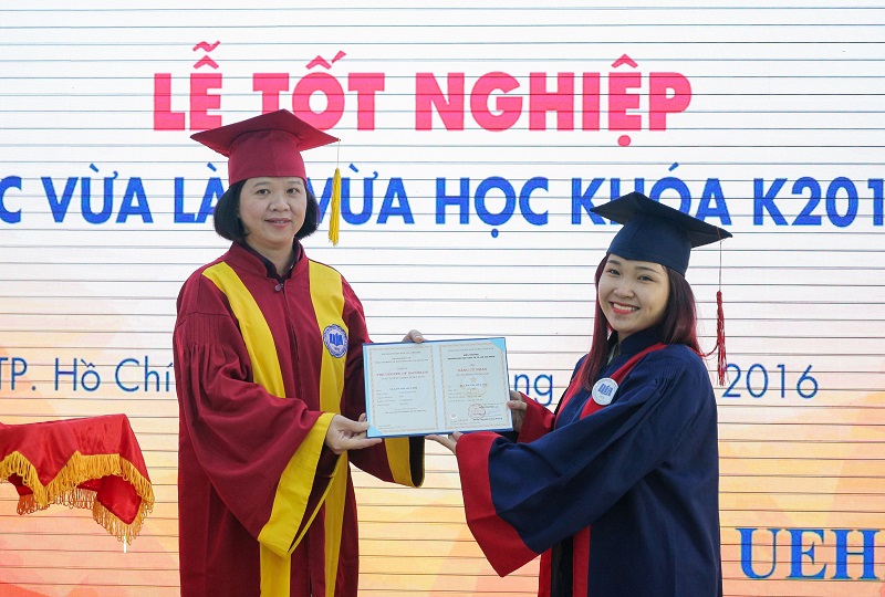 cá cược thể thao hul city